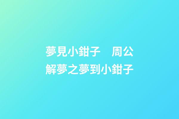 夢見小鉗子　周公解夢之夢到小鉗子